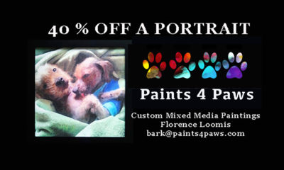 Custom Pet Portrait 40% off coupon